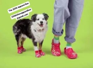 Dog Crocs Available 🐕🐾 ($130 for 4 pairs)
