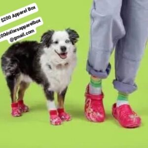 Dog Crocs Available 🐕🐾 ($130 for 4 pairs)